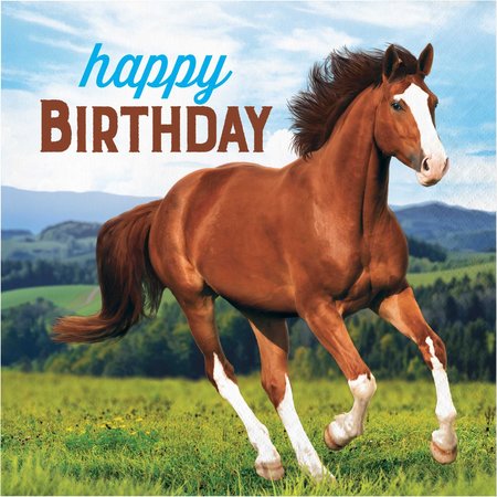 CREATIVE CONVERTING Wild Horse Happy Birthday Napkins, 6.5", 192PK 339763
